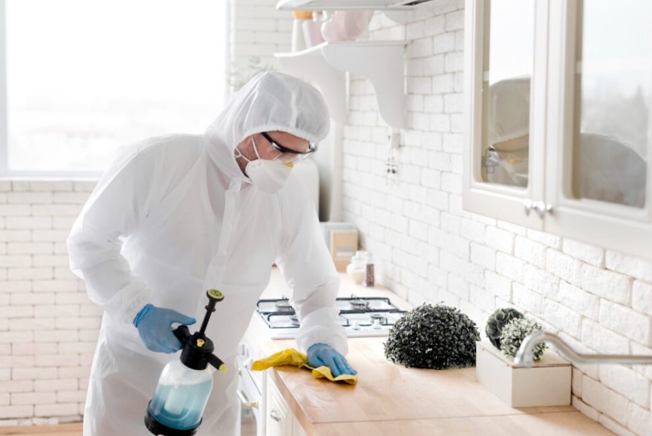 How to Clean a Vacant Apartment of Pests