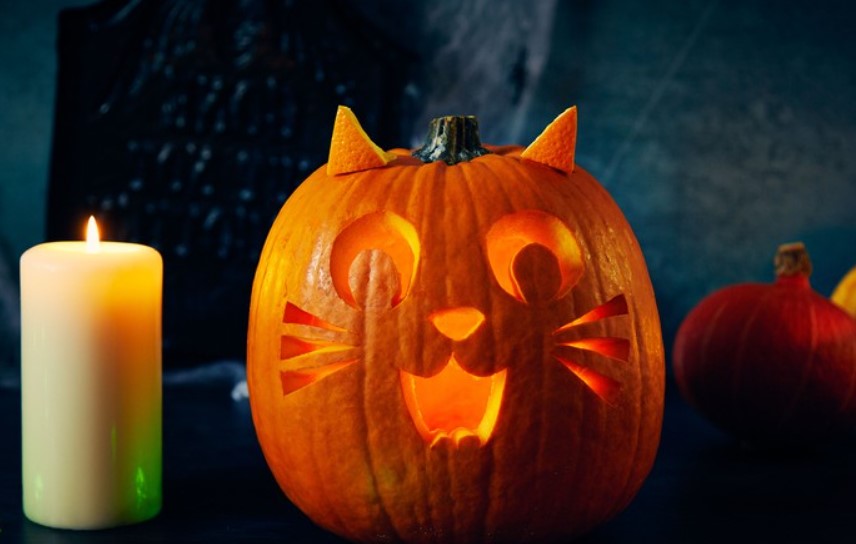 Pumpkin Carving Ideas